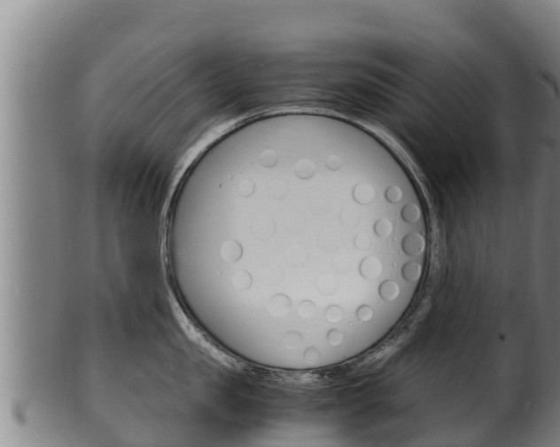 X0000100380957200806060823
