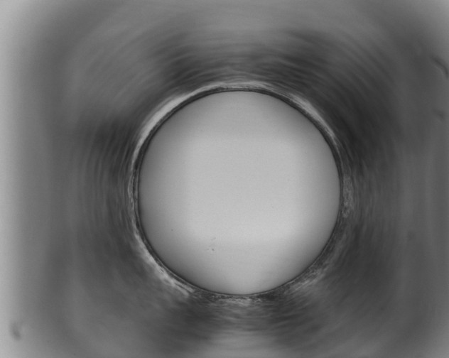 X0000100380959200806060823