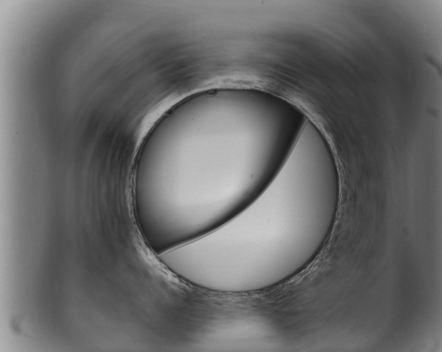 X0000100380960200806060823