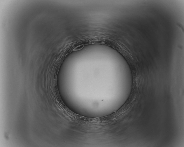 X0000100380961200806060822