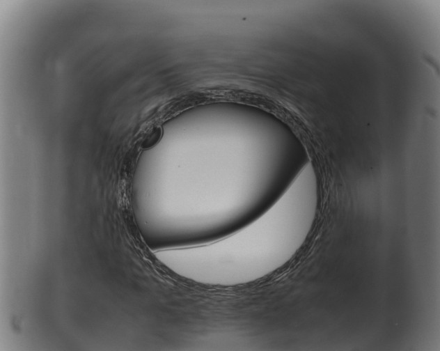 X0000100380965200806060822