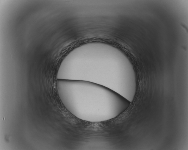 X0000100380966200806060822