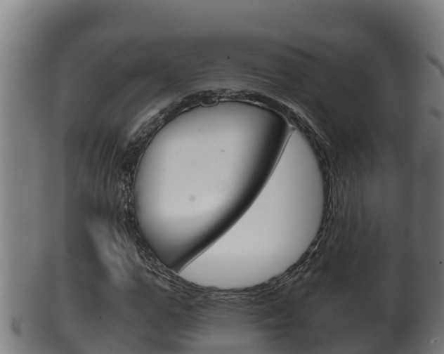 X0000100380967200806060822