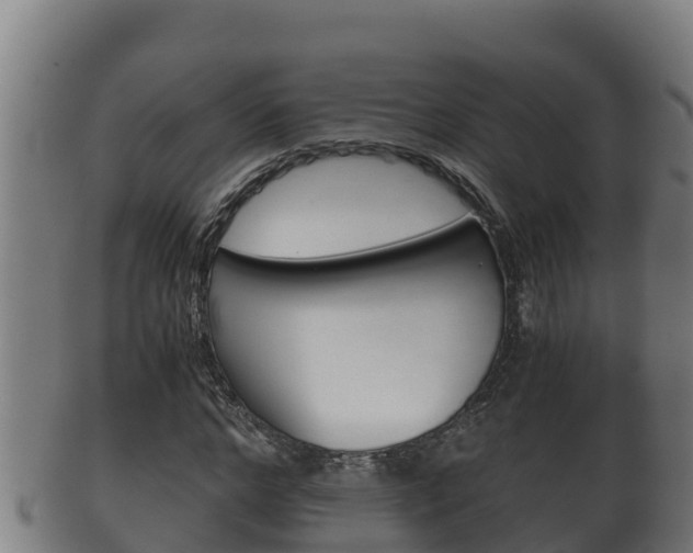 X0000100380968200806060822