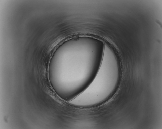 X0000100380969200806060822