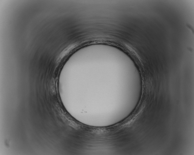 X0000100380970200806060822