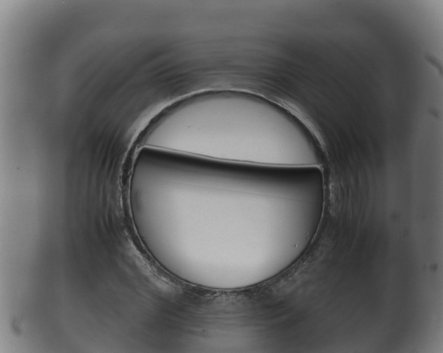 X0000100380972200806060822