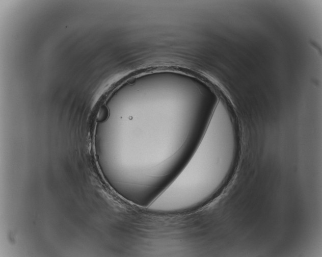 X0000100380973200806060822