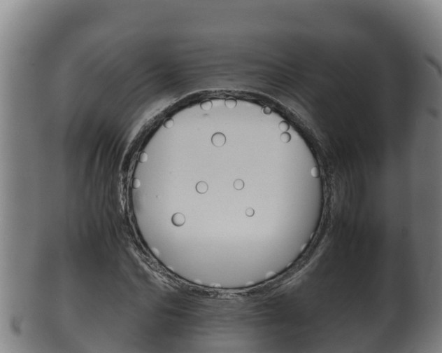 X0000100380974200806060822