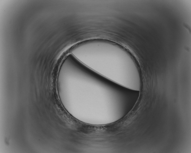 X0000100380975200806060822
