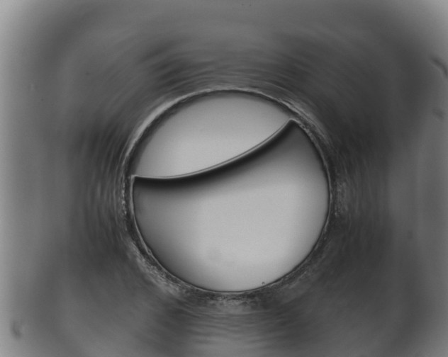 X0000100380976200806060822