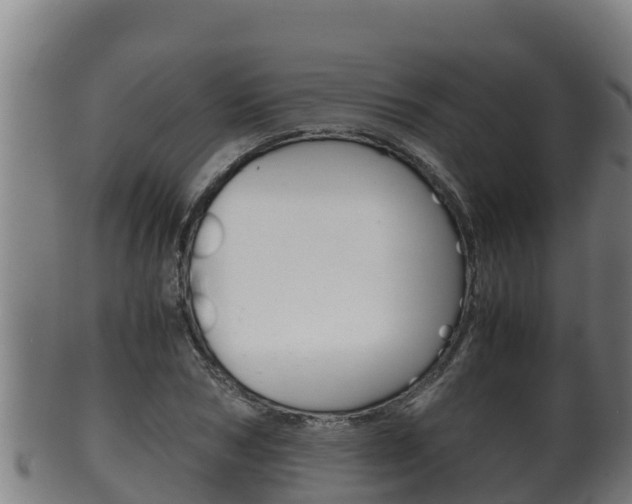 X0000100380978200806060822