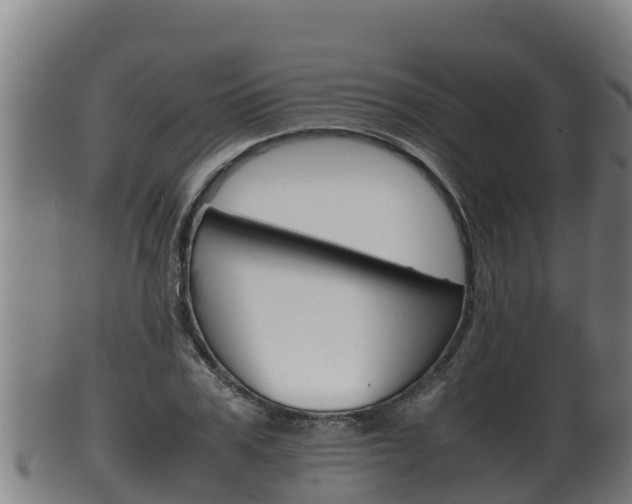 X0000100380979200806060822