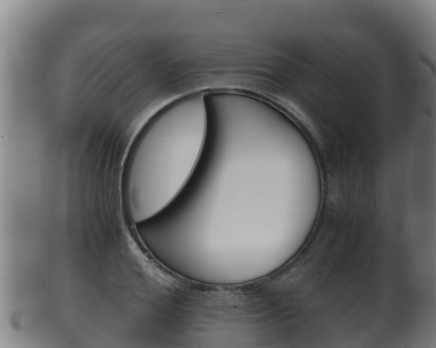 X0000100380980200806060822