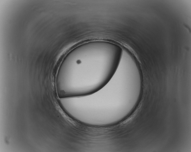 X0000100380981200806060822
