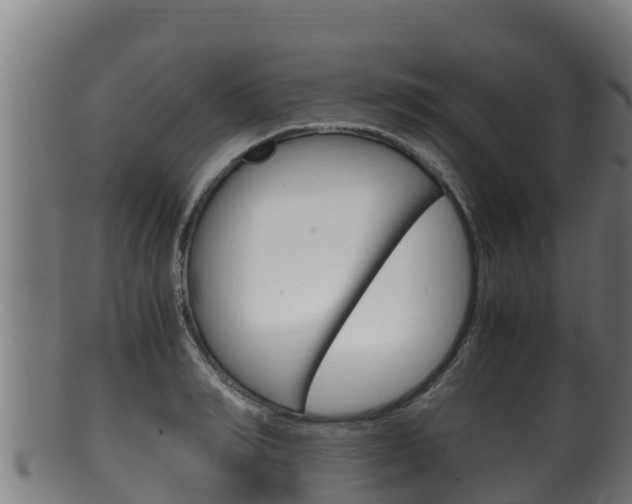 X0000100380990200806060822