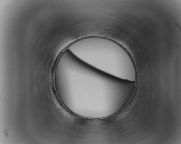 X0000100380991200806060822