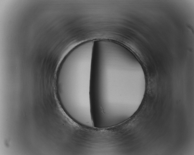 X0000100380992200806060822