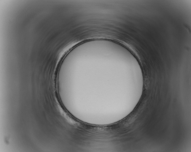 X0000100380995200806060822