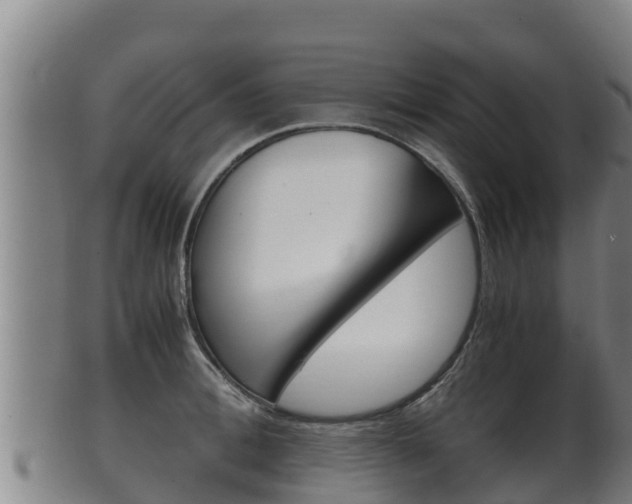 X0000100380996200806060822