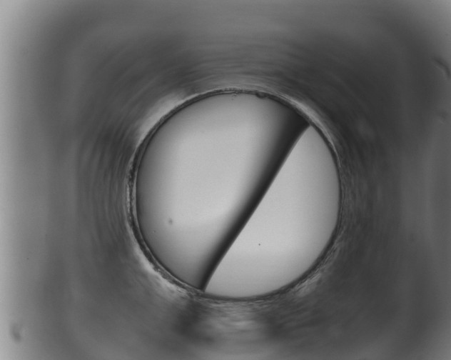 X0000100380999200806060822