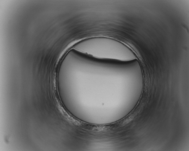 X0000100381000200806060822
