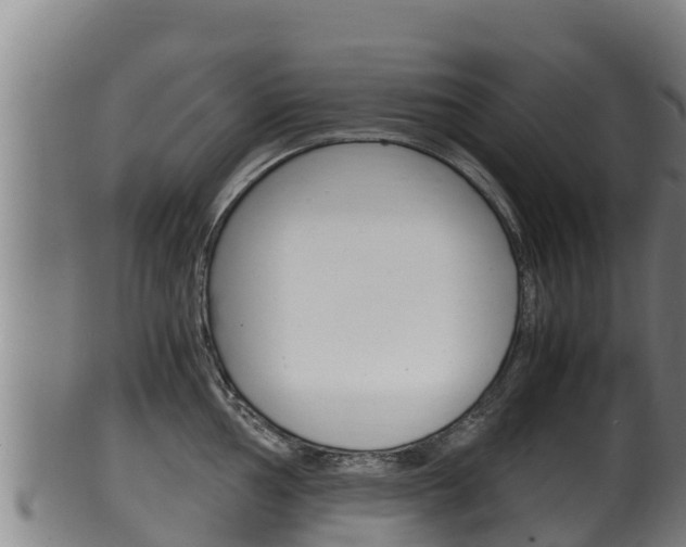 X0000100381002200806060822