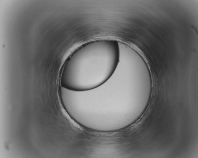X0000100381005200806060822