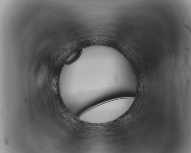 X0000100381010200806060821