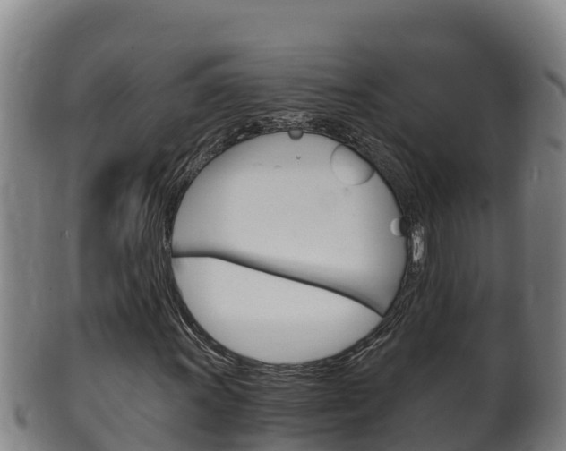 X0000100381011200806060821