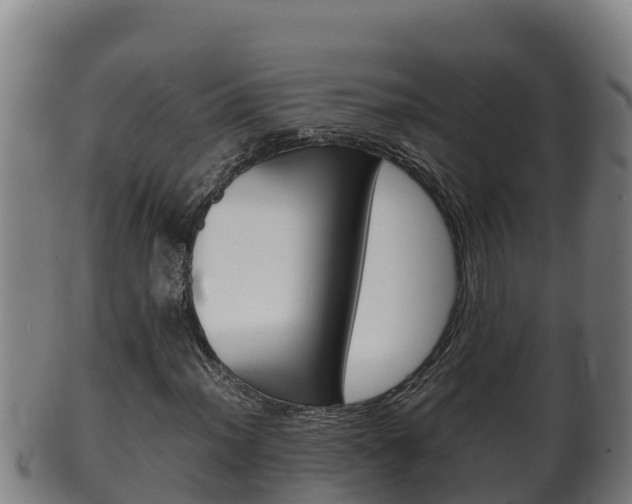 X0000100381012200806060821