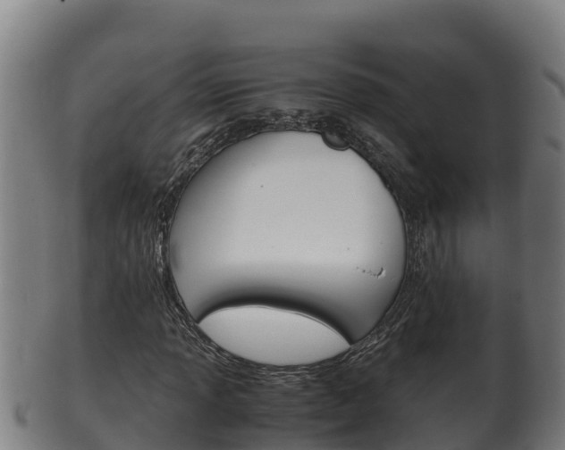 X0000100381013200806060821