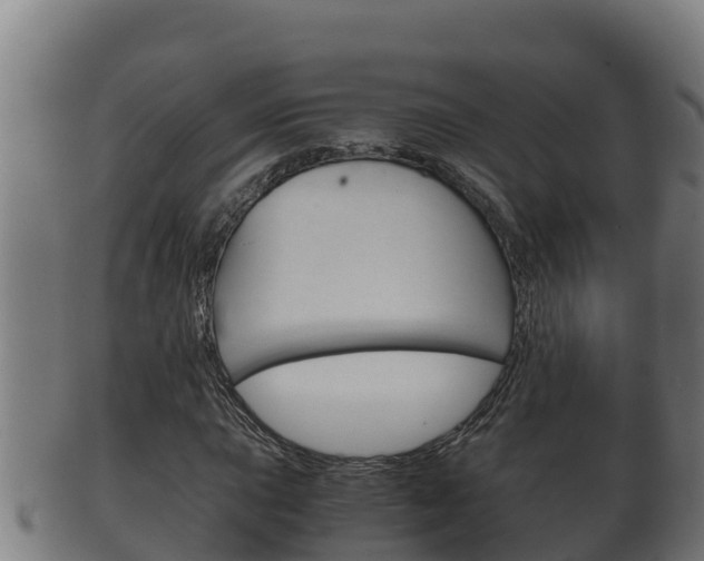 X0000100381015200806060821