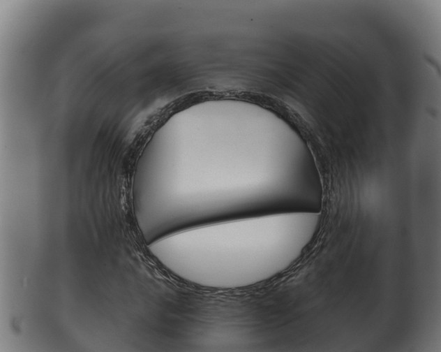 X0000100381016200806060821