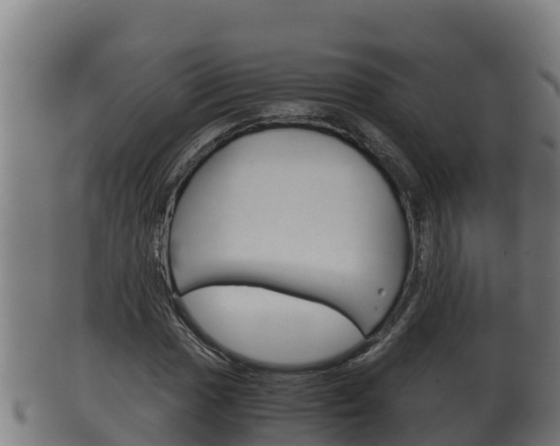 X0000100381017200806060821