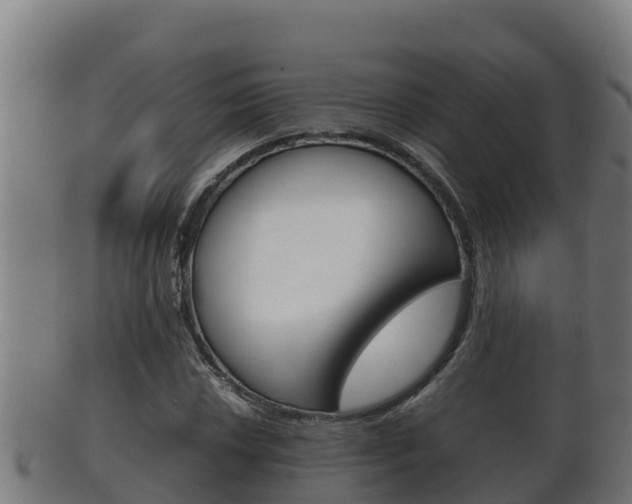 X0000100381018200806060821