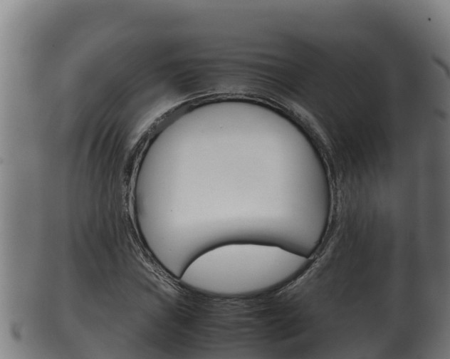 X0000100381019200806060821