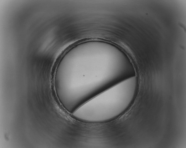 X0000100381020200806060821