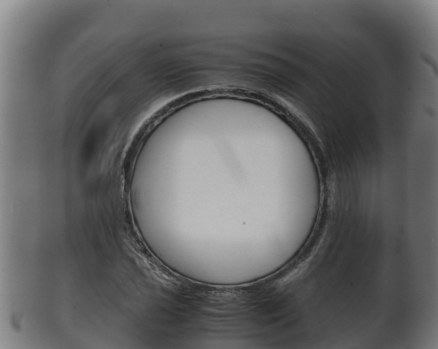 X0000100381021200806060821