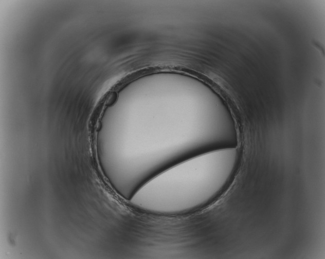 X0000100381022200806060821