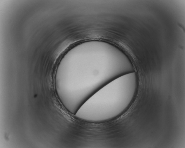 X0000100381023200806060821
