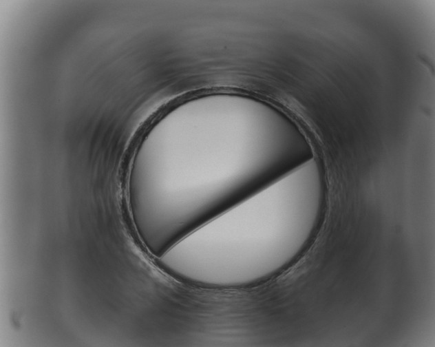 X0000100381024200806060821