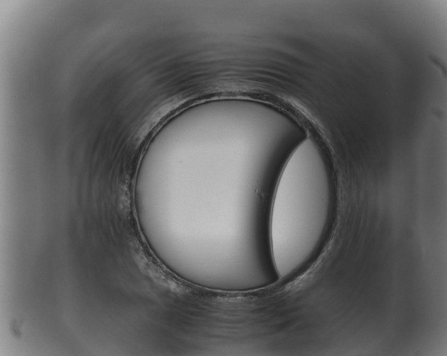 X0000100381025200806060821