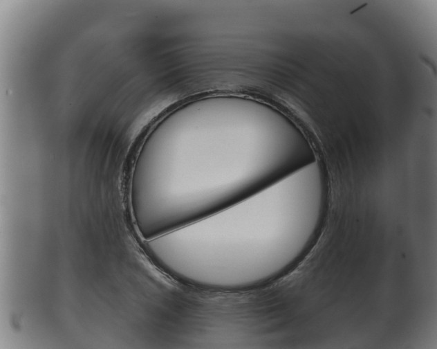 X0000100381026200806060821