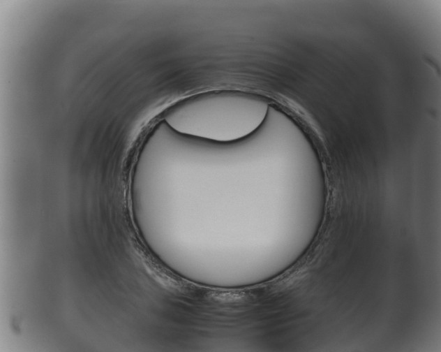 X0000100381027200806060821