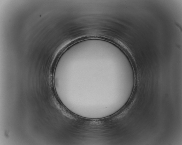 X0000100381029200806060821