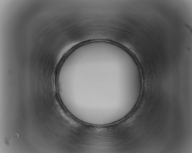X0000100381030200806060821