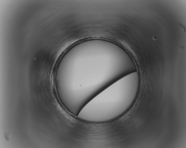X0000100381032200806060821