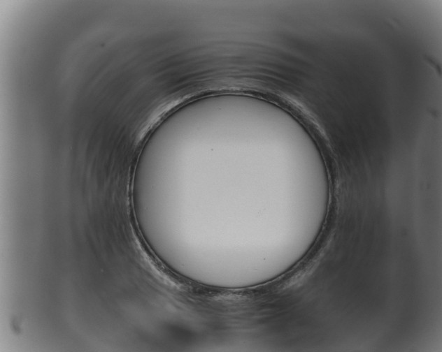 X0000100381033200806060821