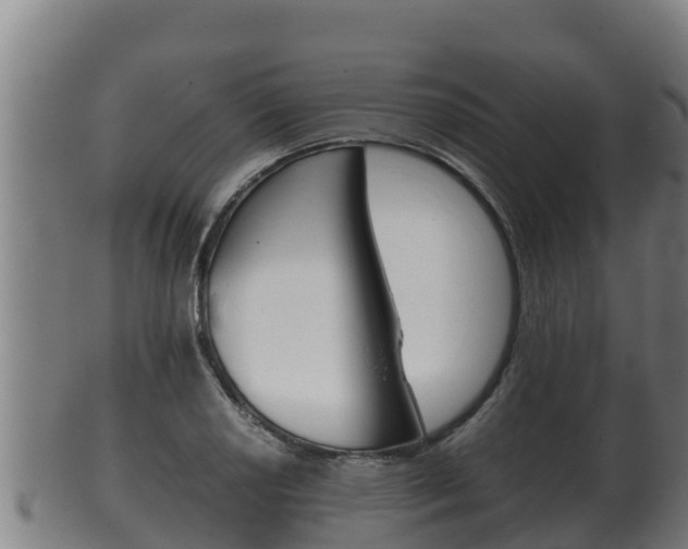 X0000100381034200806060821